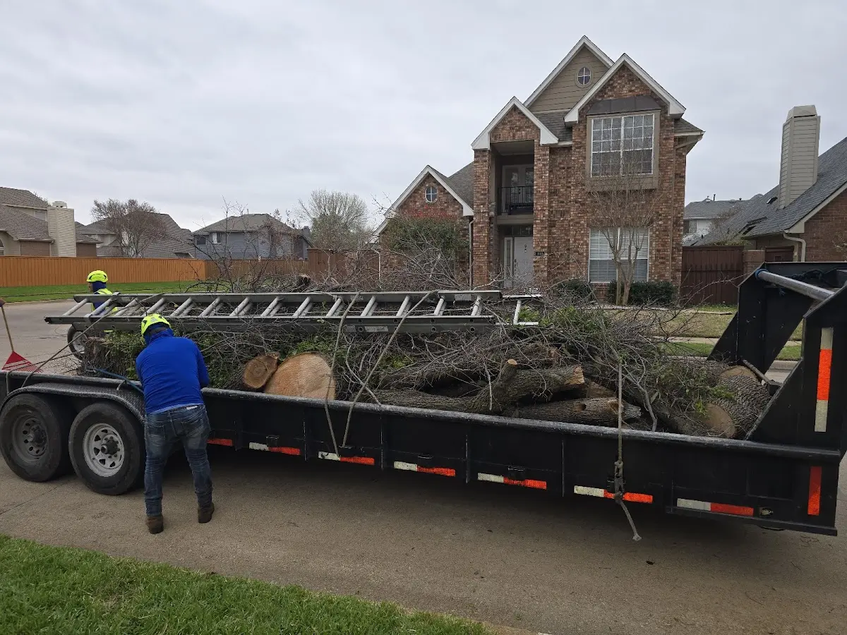 Expert Tree Removal with proper safety equipment in Squaw Lake